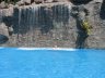 IMG_0121.JPG - 